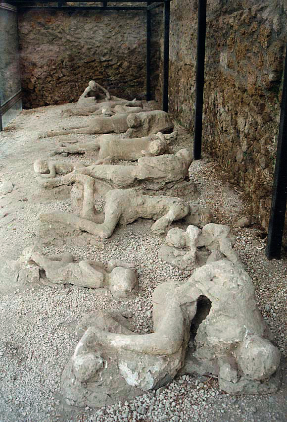grey stone casts of the fallen human victims of the vesuvius eruption lay on display beside each other in various positions 